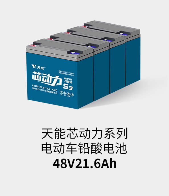 狗万电池48v20ah