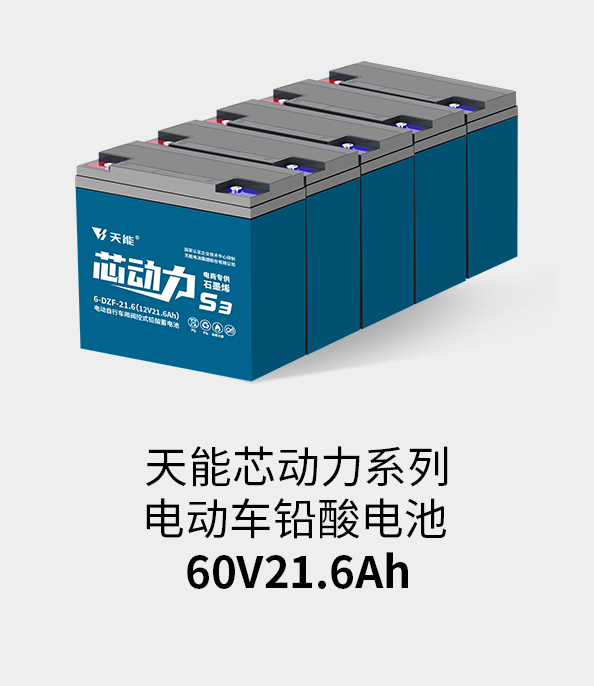 狗万电池60v20ah