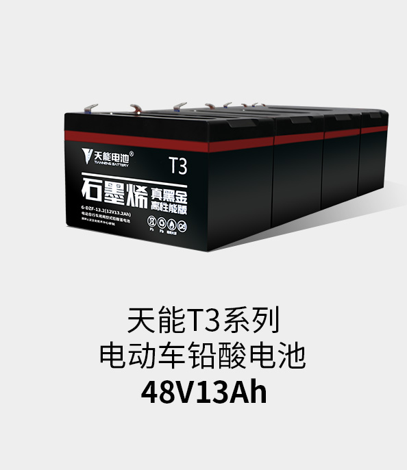 狗万T3系列48v13ah