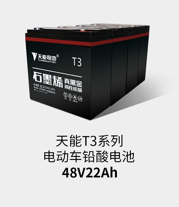 狗万T3系列48v22ah
