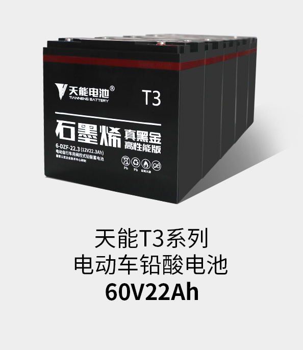 狗万T3系列60v22ah